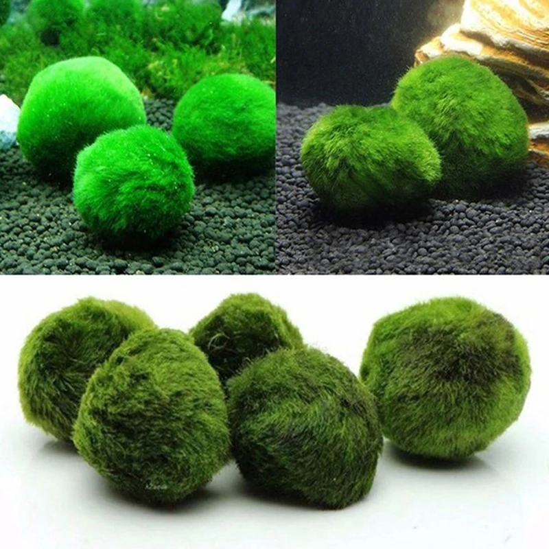 Aquarium Planted Tank Substrate - 1 Peça de Bolas de Musgo