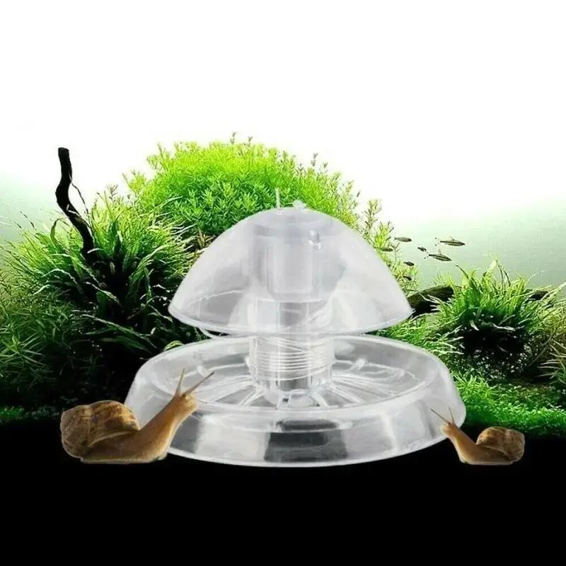 Aquarium Planted Fish Tank - 2026 Nova Armadilha de Plástico Transparente