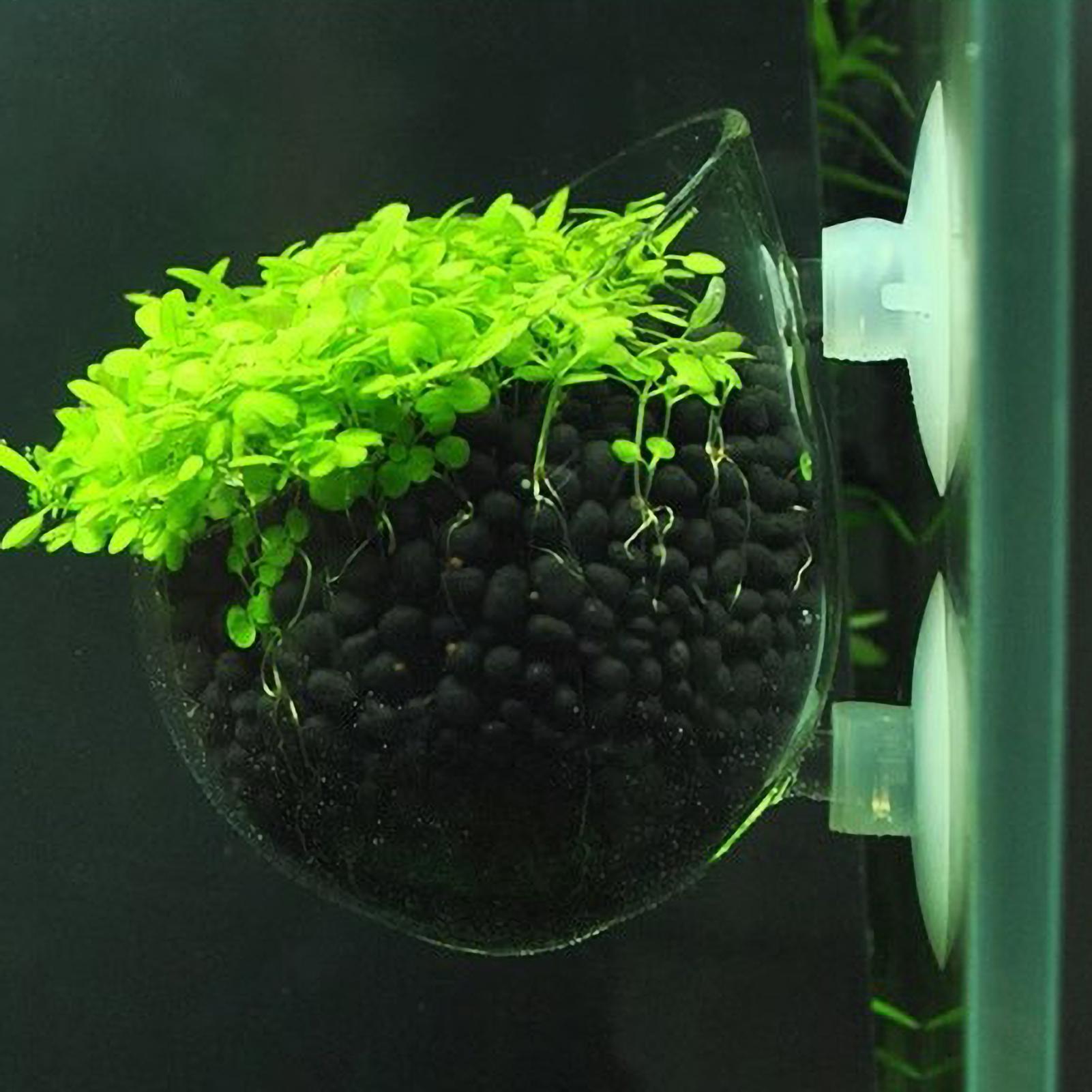 Aquarium Planted Tank Substrate - Suporte de Plantas para Aquário, Vaso