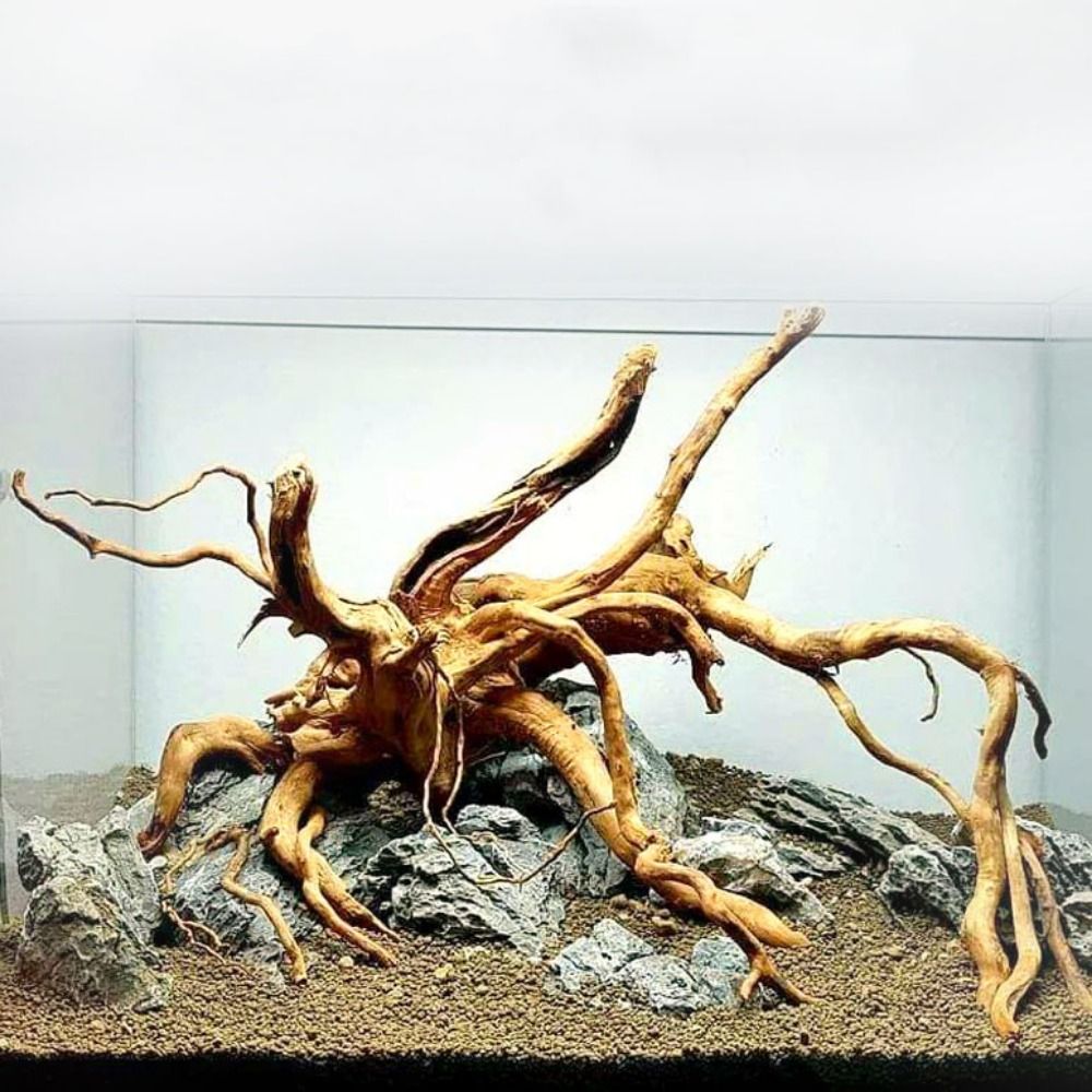 Aquarium Plant Roots - Natural Árvore Tronco Decoração Do Aquário,