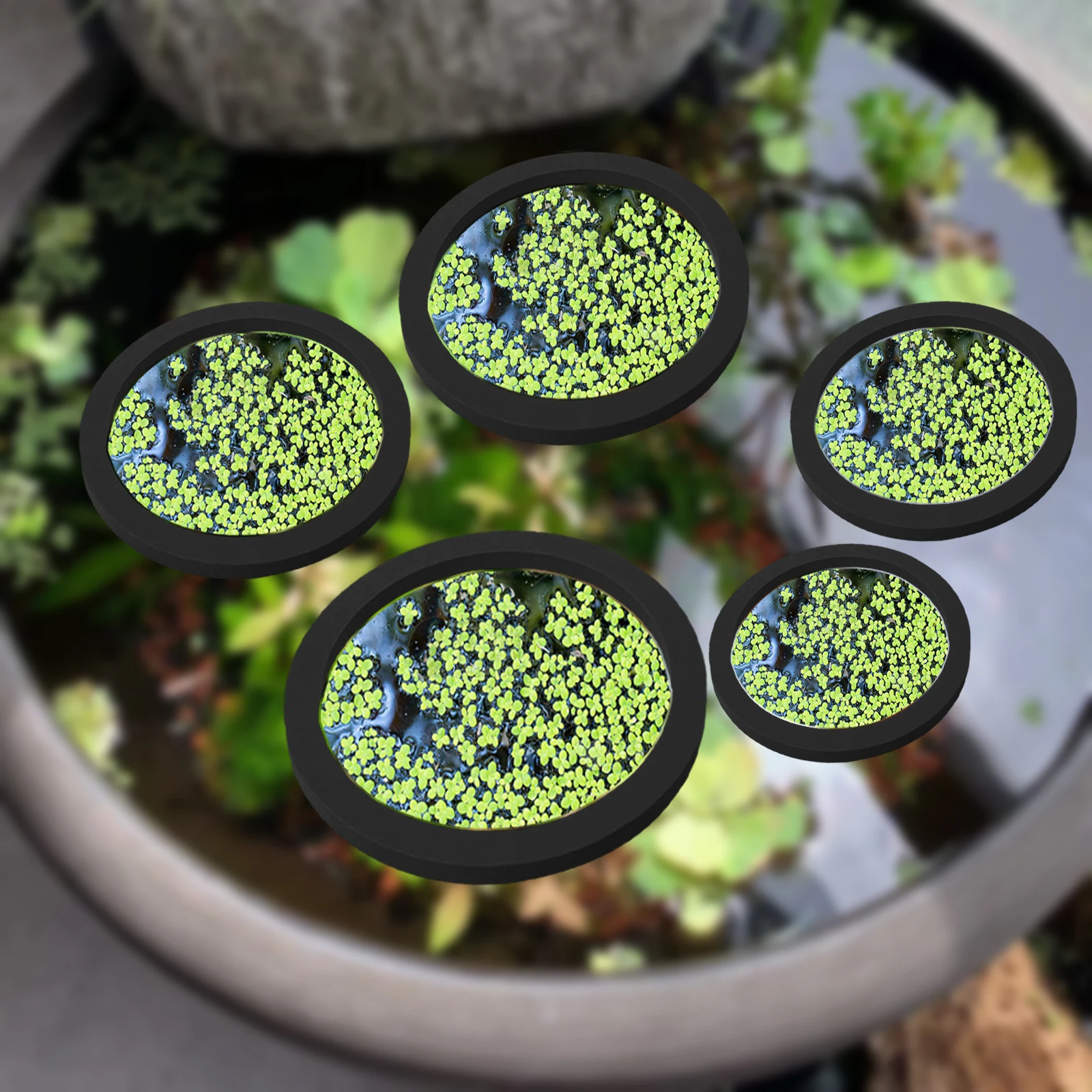 Aquarium Planted Fish Tank - 5 pçs eva anel de alimentação