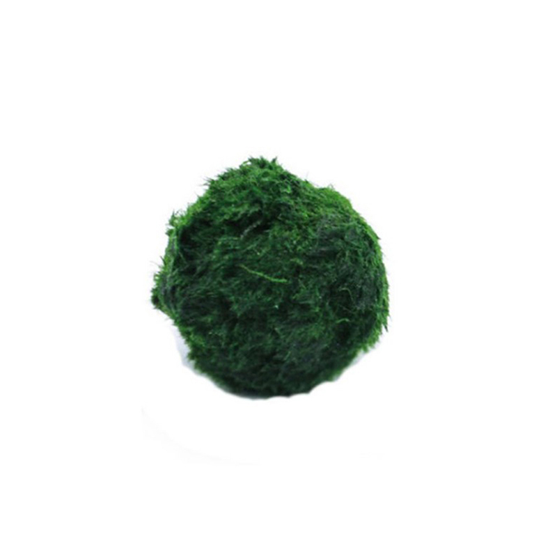 Aquarium Planted Tank Substrate - Marimo musgo bolas ao vivo aquário