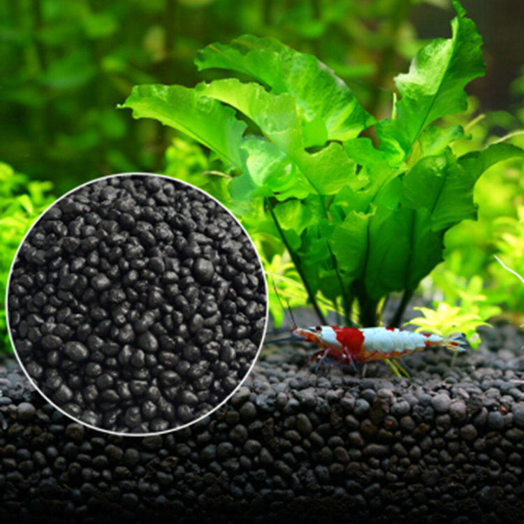 Planted Aquarium Equipment - Solo para plantas do tanque de