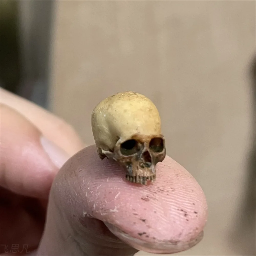 Aquarium Plant Display - Mini crânio modelo em miniatura de