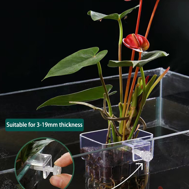 Aquarium Planted Fish Tank - Multifuncional Aquário De Peixes, Água Grama