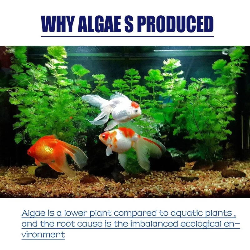 Algaicida de Alta Eficiência 5 - Planted Aquarium Equipment avaliação e preço