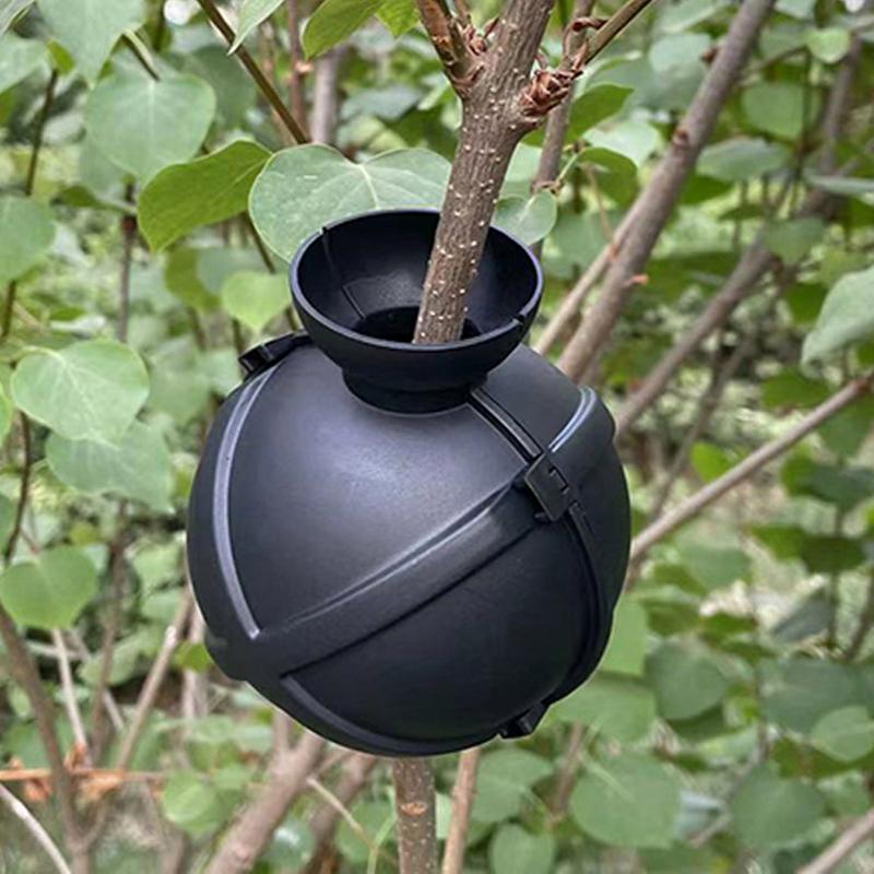 Bola de propagação camadas de  - Aquasoil Substrate avaliação e preço