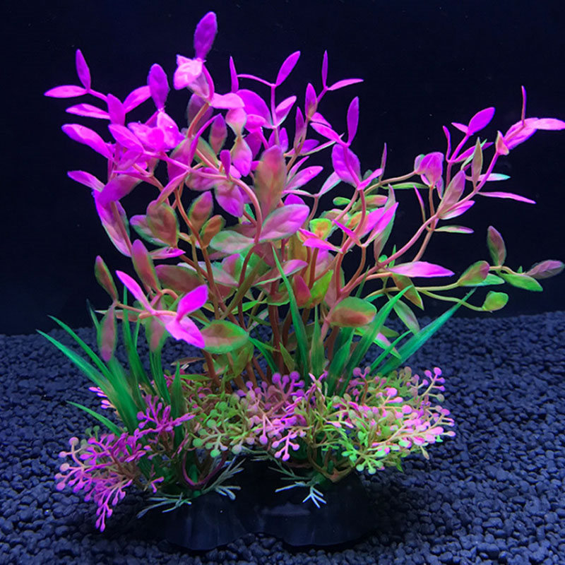 Decoração de aquário uma varie - Aquarium Plant Varieties avaliação e preço