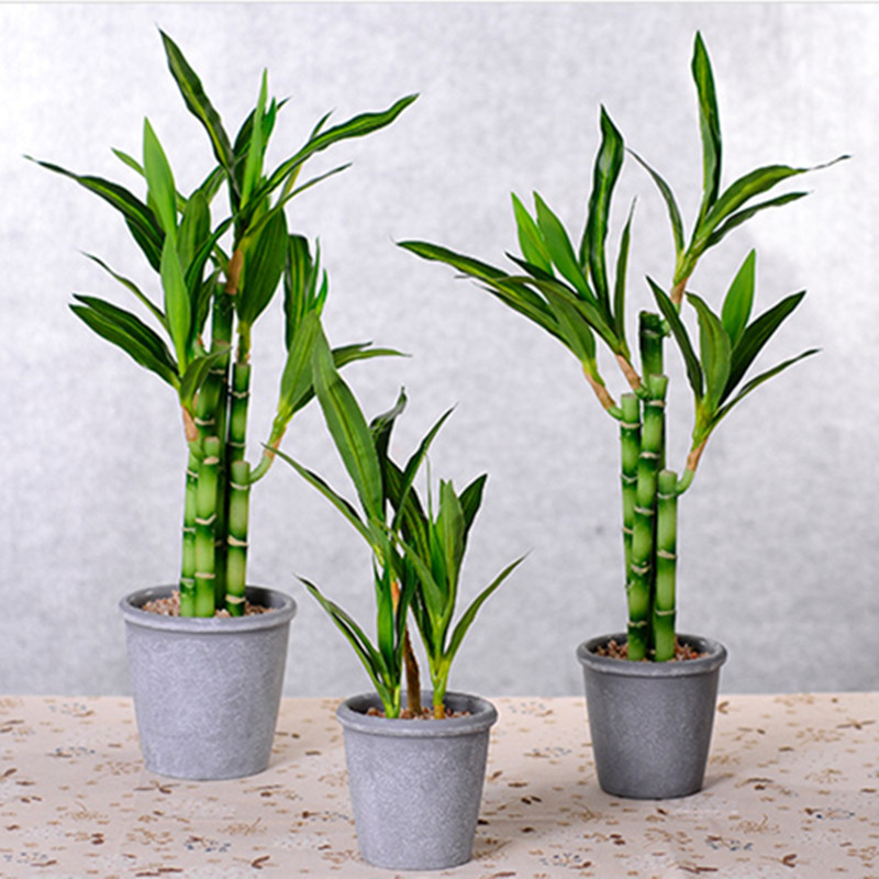 Nova Planta Artificial de Bamb - Aquarium Plant Display avaliação e preço