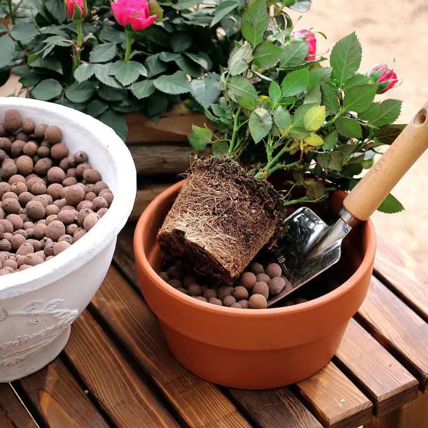 Argila Expandida Reutilizável  - Aquasoil Substrate avaliação e preço