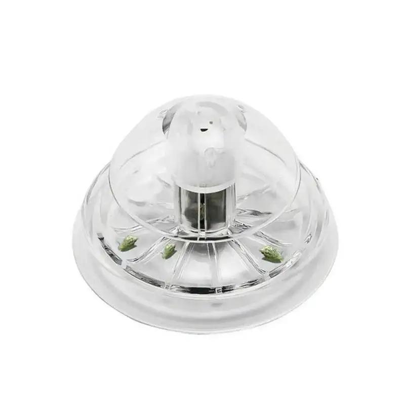2026 Nova Armadilha de Plástic - Aquarium Planted Fish Tank avaliação e preço