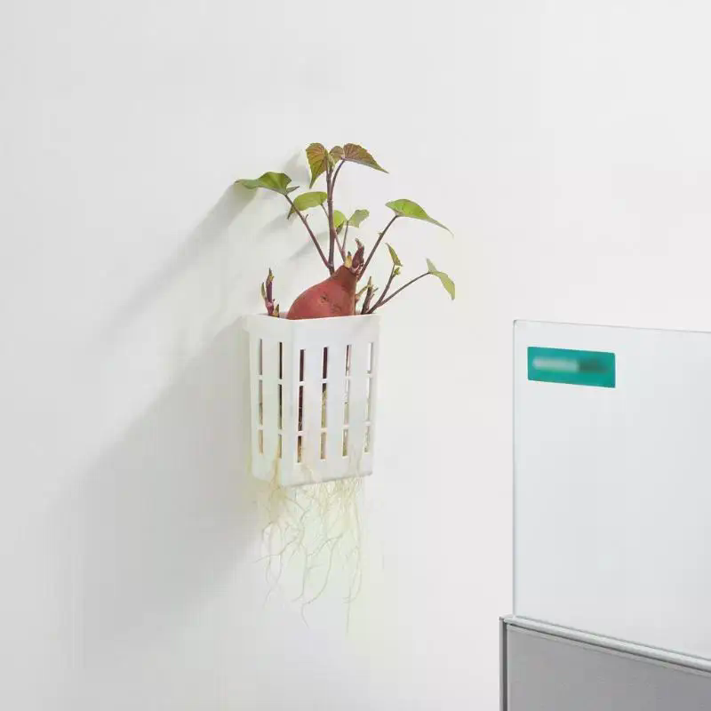 1 Peça Cesto de Suporte Hidrop - Aquarium Planted Fish Tank avaliação e preço