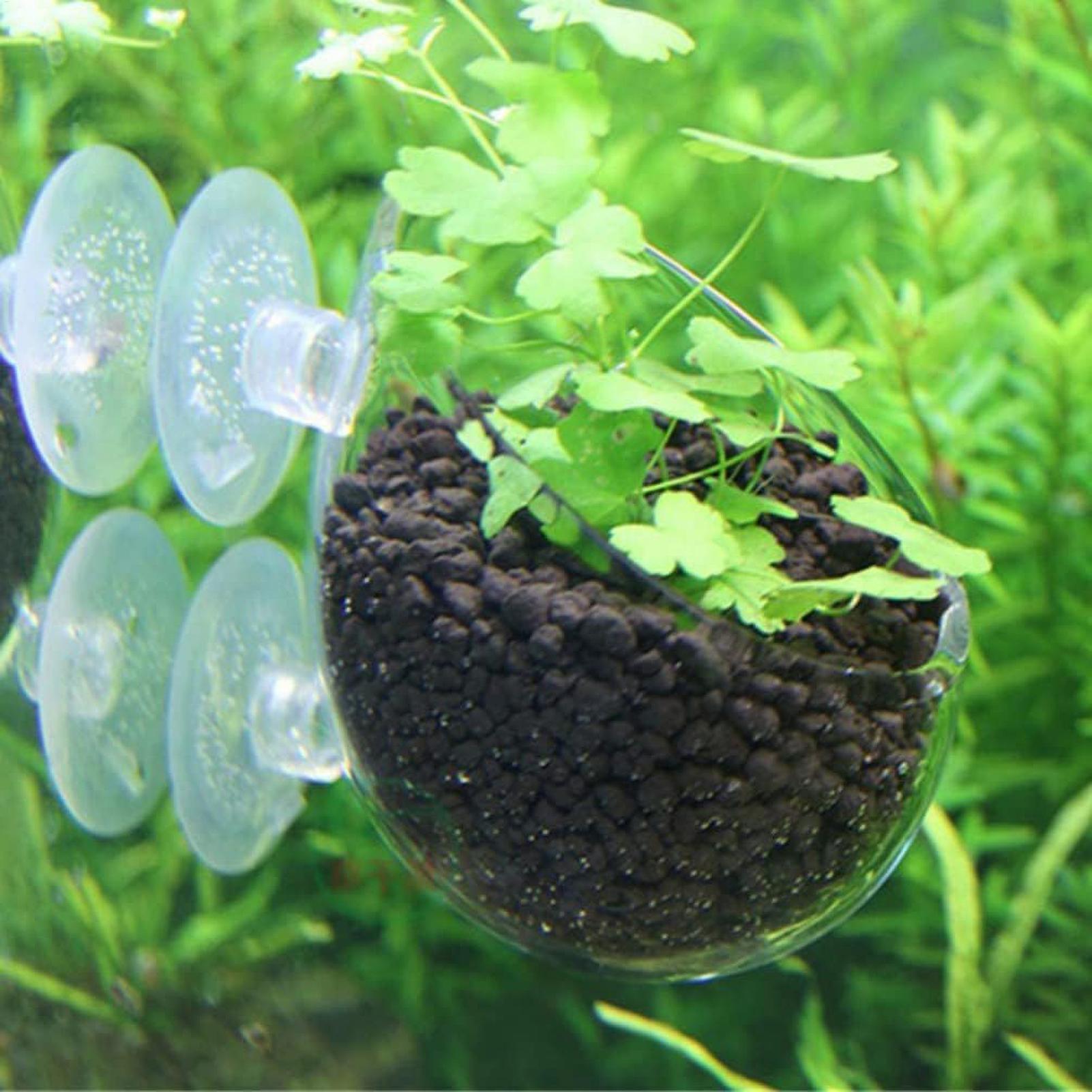 Suporte de Plantas para Aquári - Aquarium Planted Tank Substrate avaliação e preço