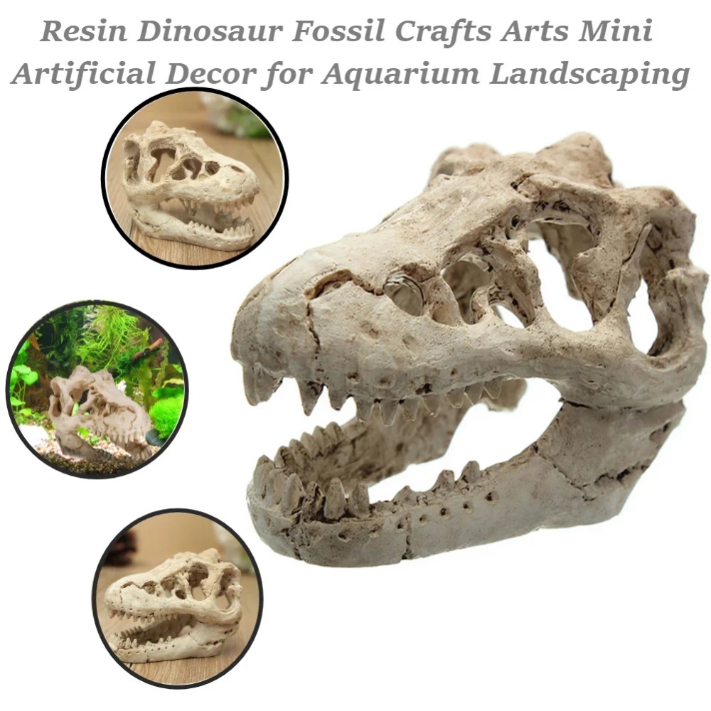 Dinossauro fóssil modelo tanqu - Aquarium Zombie avaliação e preço
