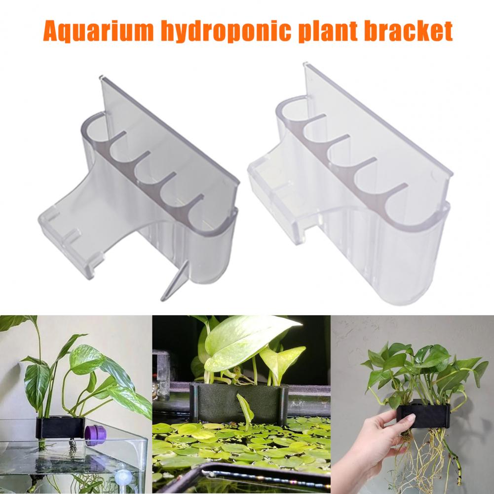 4.5/6.5cm suporte de planta de - Aquarium Planted Fish Tank avaliação e preço