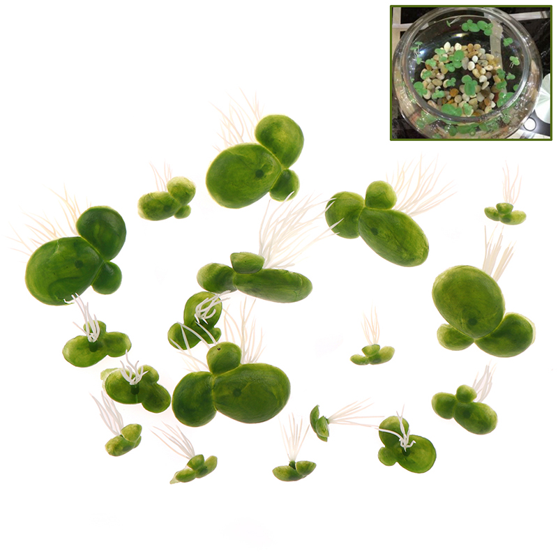 Conjunto de água flutuante art - Aquarium Plant Roots avaliação e preço
