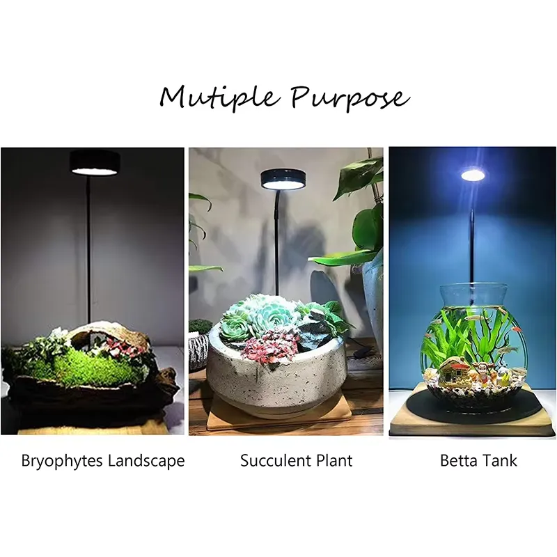 Luz LED de Espectro Completo c - Planted Aquarium Hours avaliação e preço