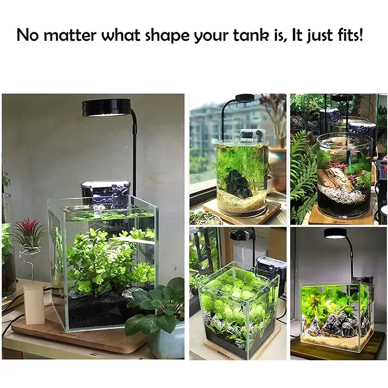 Luz LED de Espectro Completo c - Planted Aquarium Hours avaliação e preço