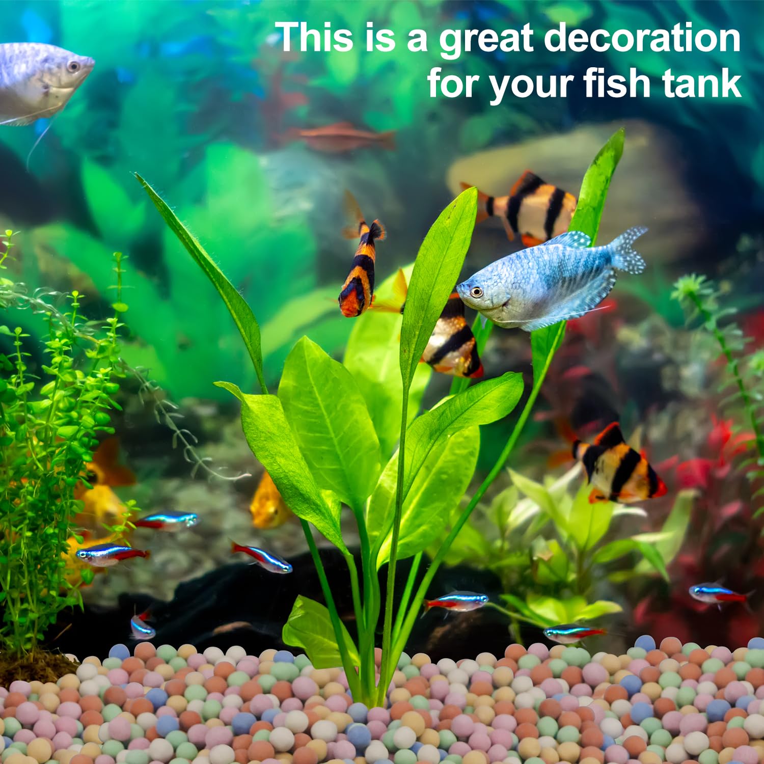 Planta hidropônica decorativa  - Aquasoil Substrate avaliação e preço
