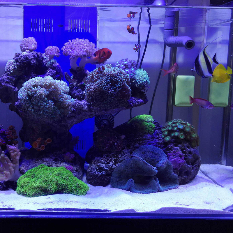 WAJABABY Areia de aquário bran - Aquasoil Substrate avaliação e preço