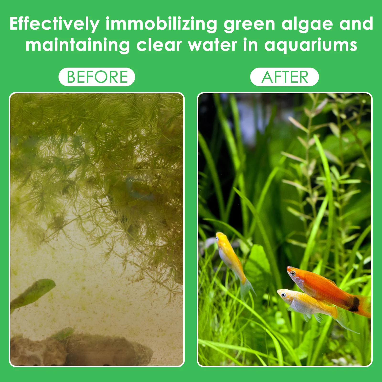 50 pçs pesos de plantas de aqu - Aquarium Planted Tank Substrate avaliação e preço