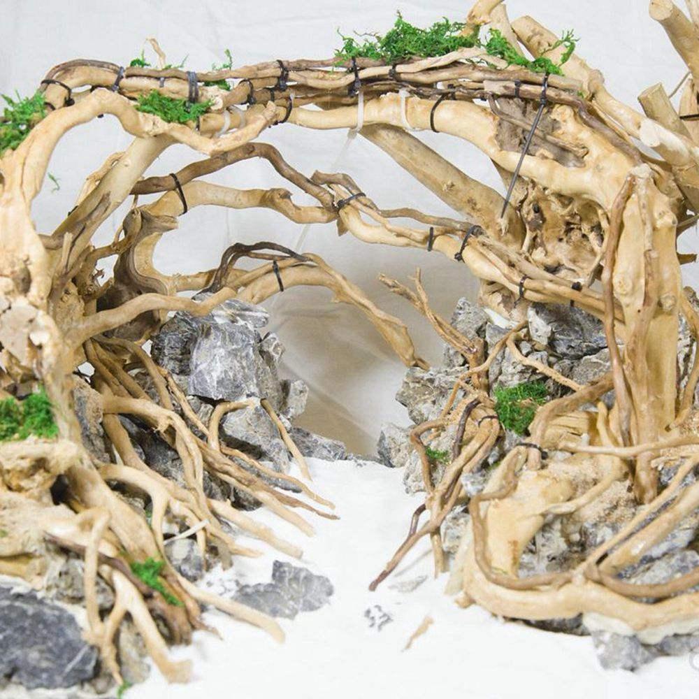 Madeira n1n paisagismo decoraç - Aquarium Plant Roots avaliação e preço