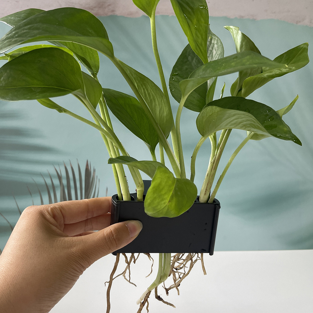 Suporte de planta de aquário c - Aquarium Planted Tank Substrate avaliação e preço