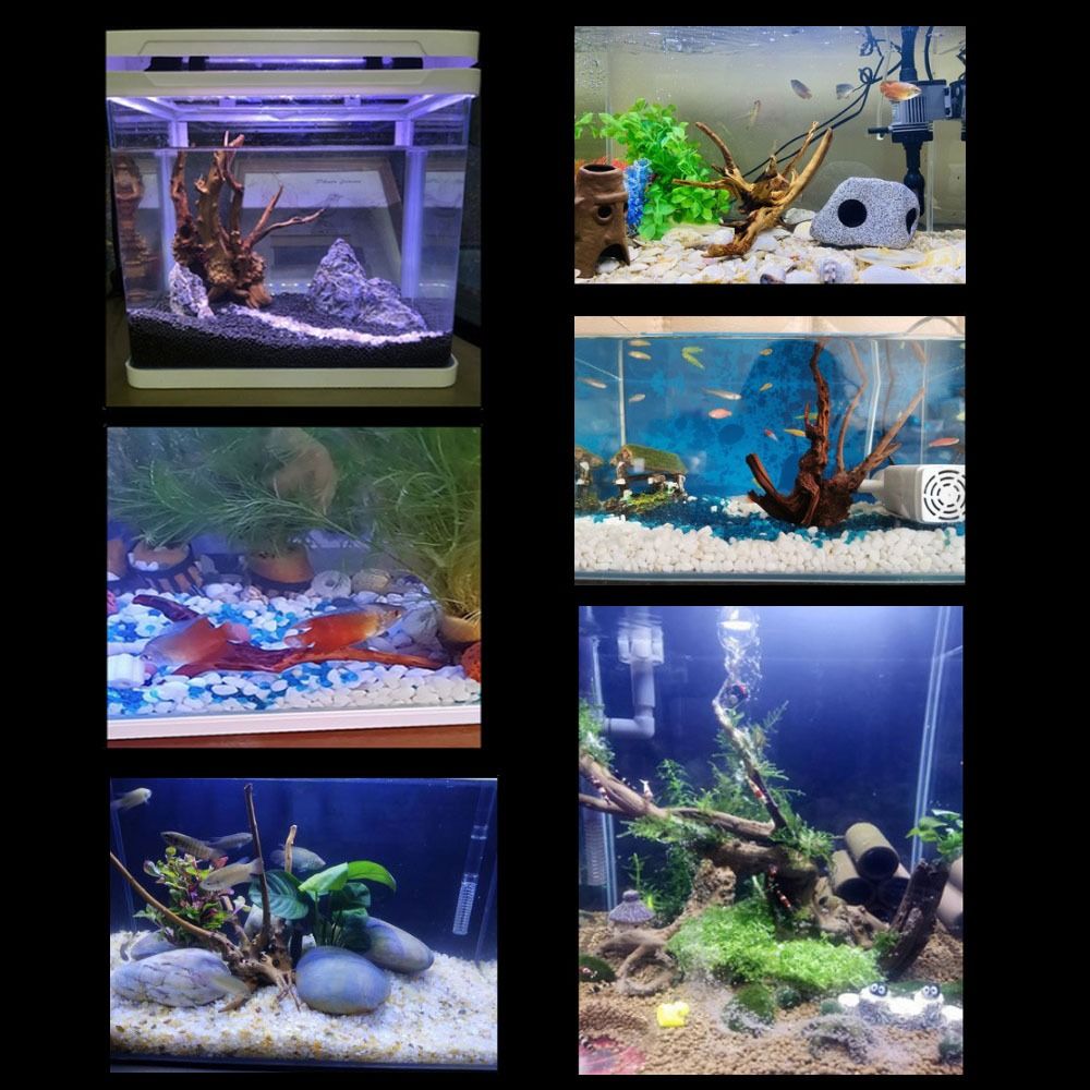 Natural Árvore Tronco Decoraçã - Aquarium Plant Roots avaliação e preço