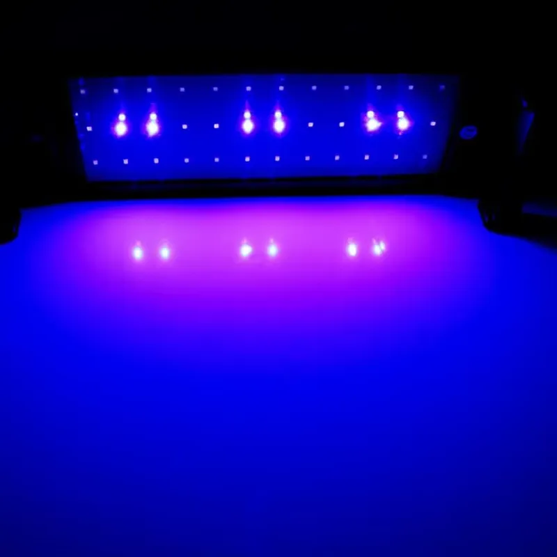 GAKO 11W ZJL-60A, Lâmpada LED  - Planted Aquarium Competition avaliação e preço