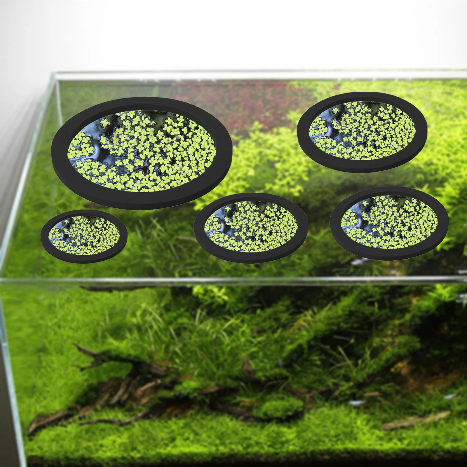 5 pçs eva anel de alimentação  - Aquarium Planted Fish Tank avaliação e preço