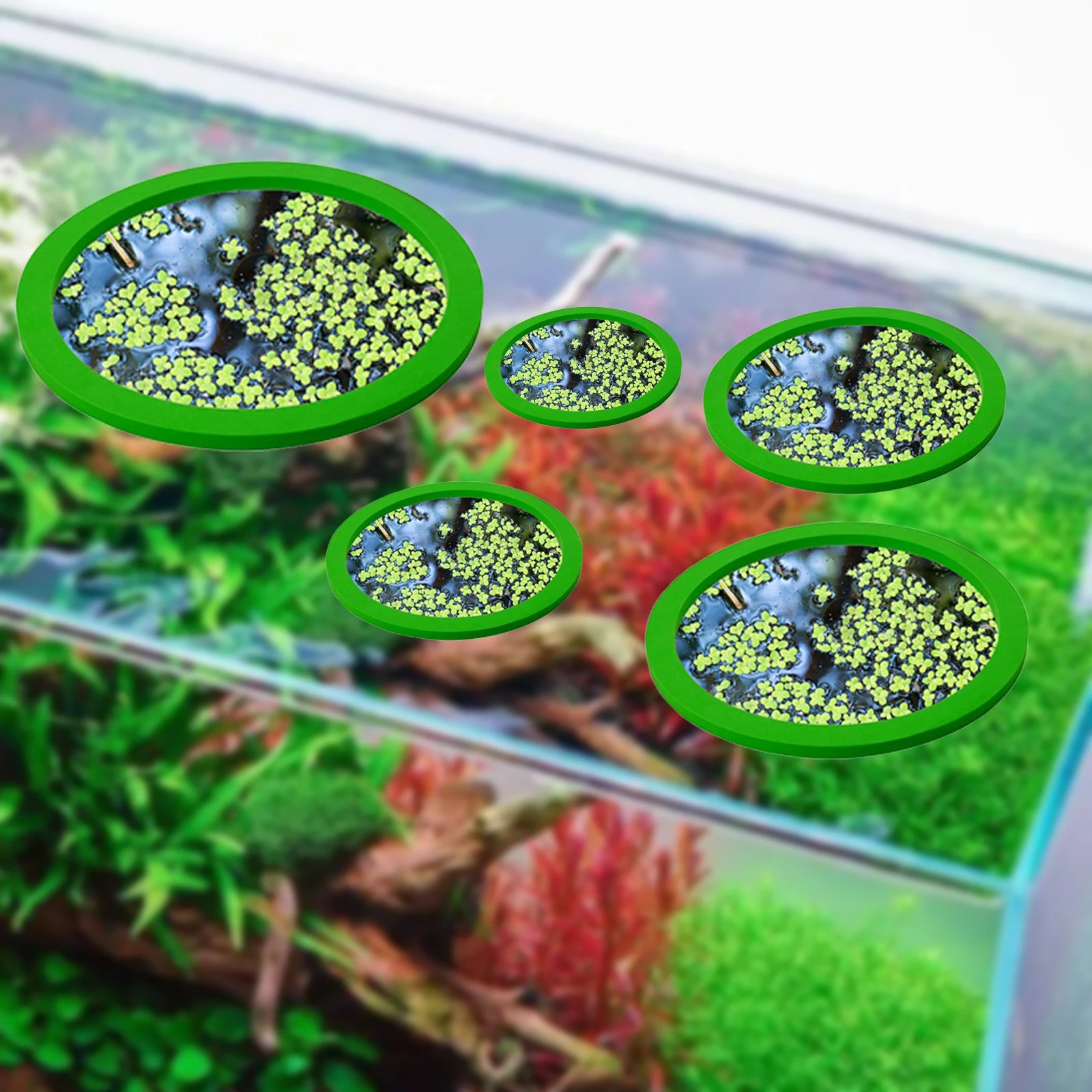 5 pçs eva anel de alimentação  - Aquarium Planted Fish Tank avaliação e preço