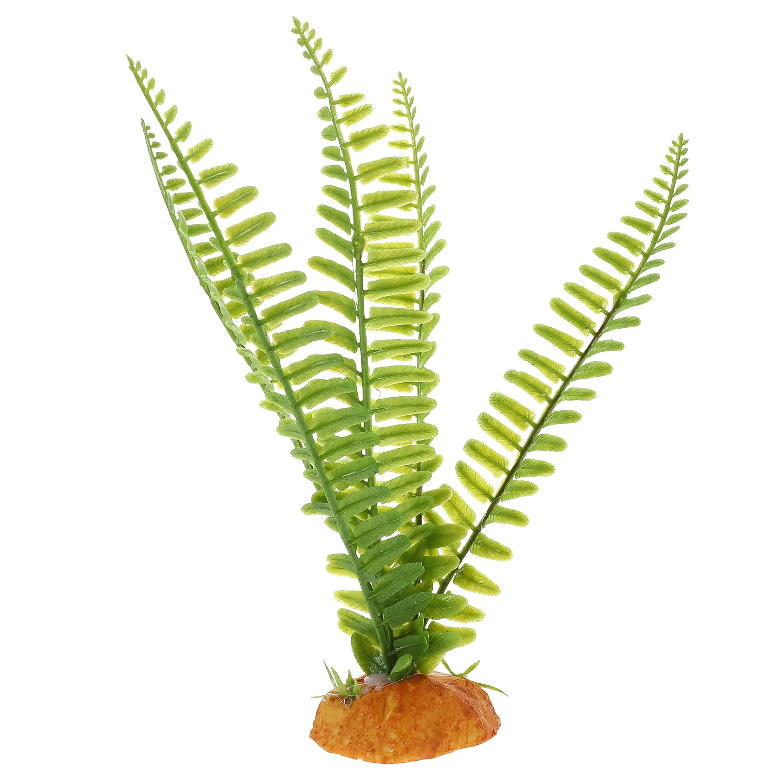 Plantas de répteis terrário vi - Aquarium Plant Vine avaliação e preço