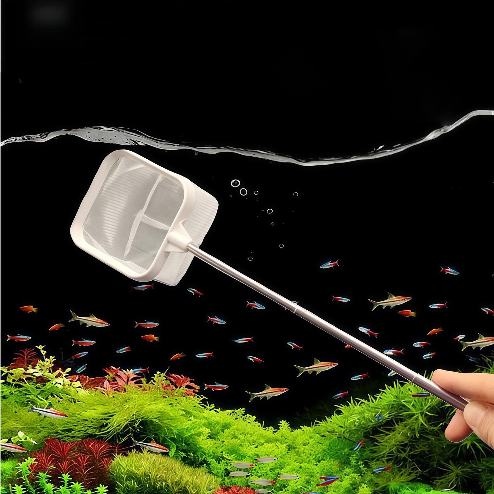 Escumadeira de Aquário com Cab - Aquarium Plant Roots avaliação e preço