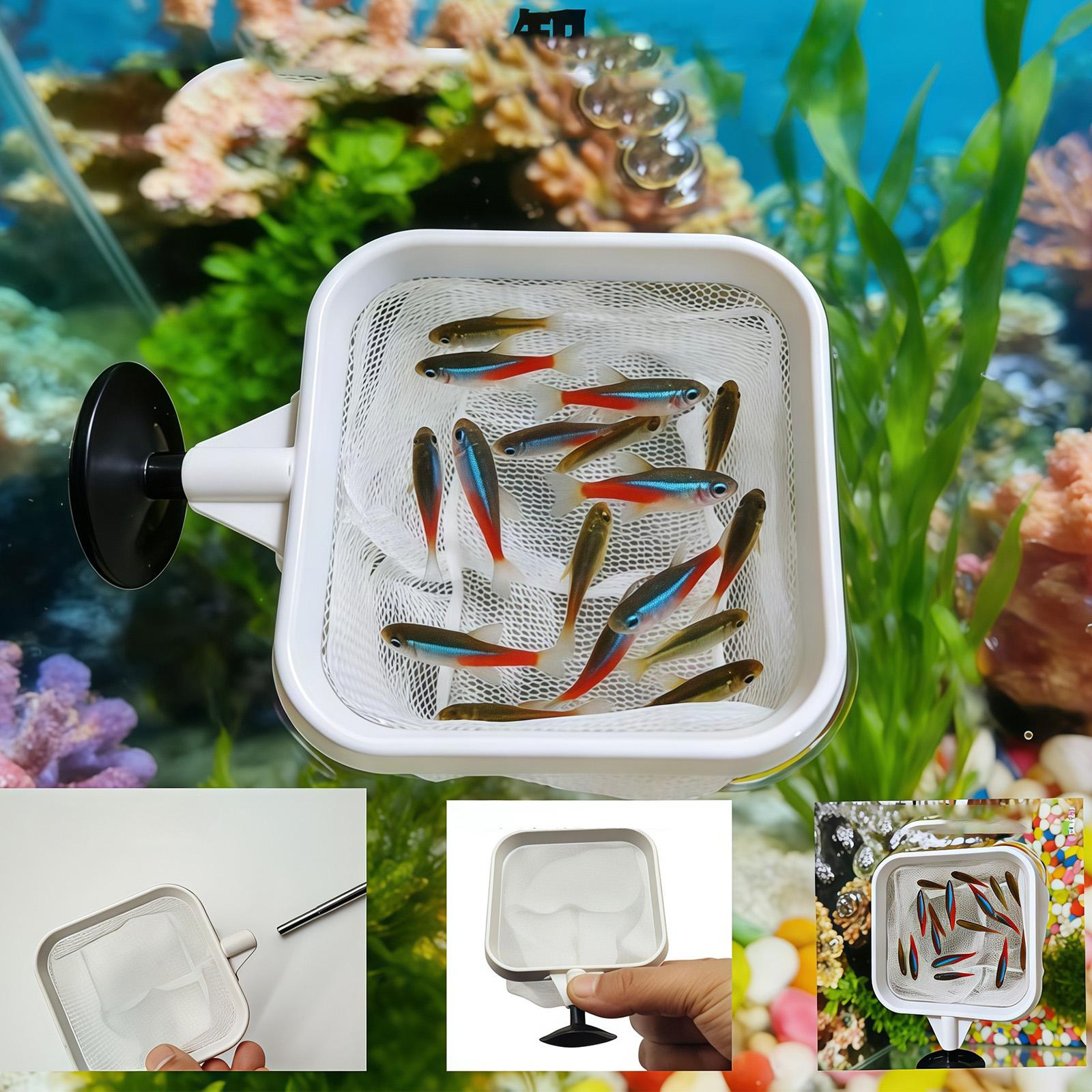 Escumadeira de Aquário com Cab - Aquarium Plant Roots avaliação e preço
