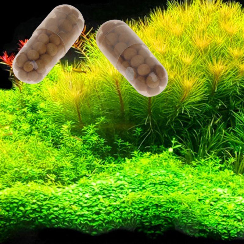Qx2e aquário planta viva ferti - Aquasoil Substrate avaliação e preço