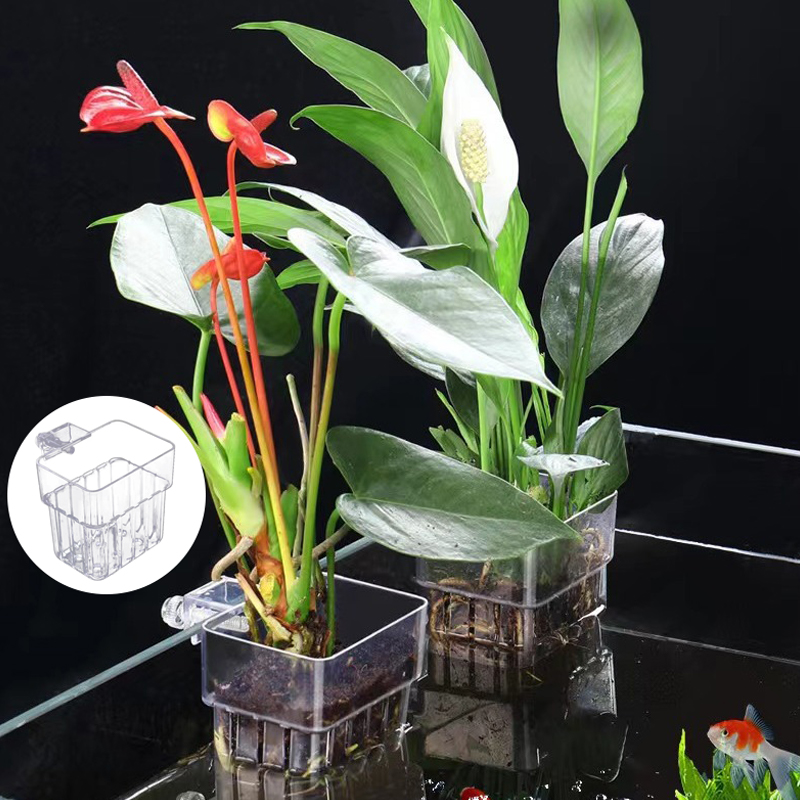 Multifuncional Aquário De Peix - Aquarium Planted Fish Tank avaliação e preço