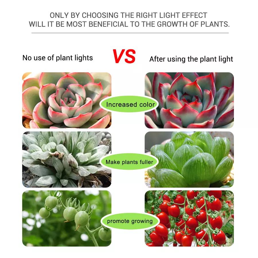 Tiras de led 5v usb phyto fita - Planted Aquarium Hours avaliação e preço
