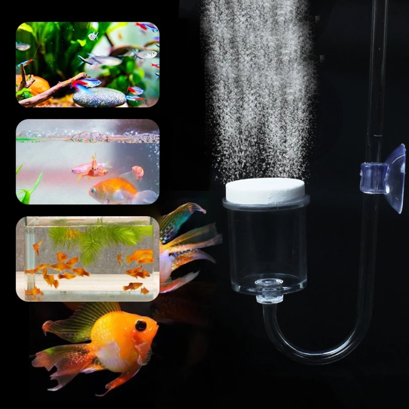 CO2 Difusor para Aquário, DIY  - Planted Aquarium Co2 avaliação e preço