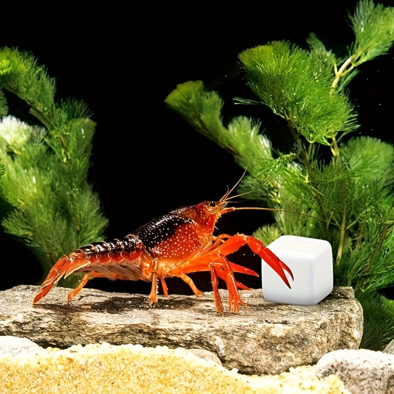 6 pçs tanque de peixes bloco d - Aquarium Plant Roots avaliação e preço